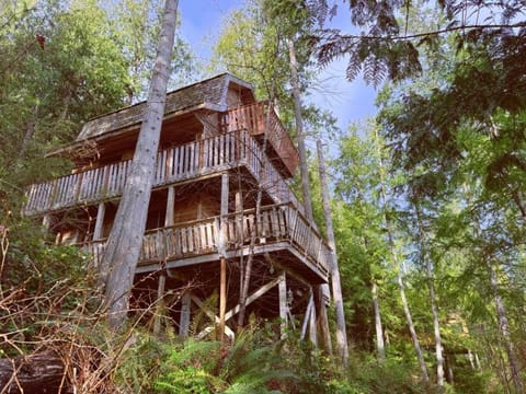 Desolation Sound Resort Nature lodge in Vancouver Island