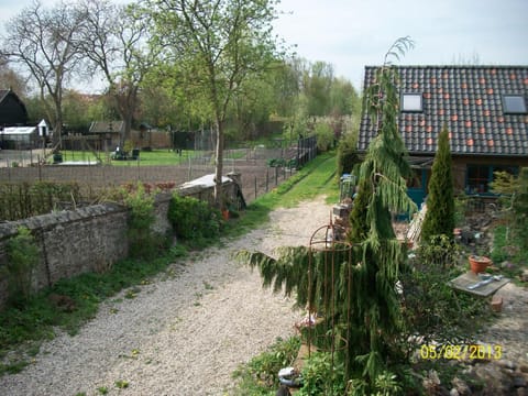 Natural landscape, Garden view