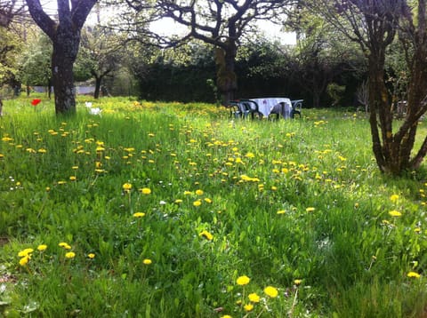 Property building, Spring, Garden