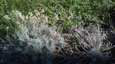 Apartments Mila & Miro Apartment in Šibenik-Knin County, Croatia