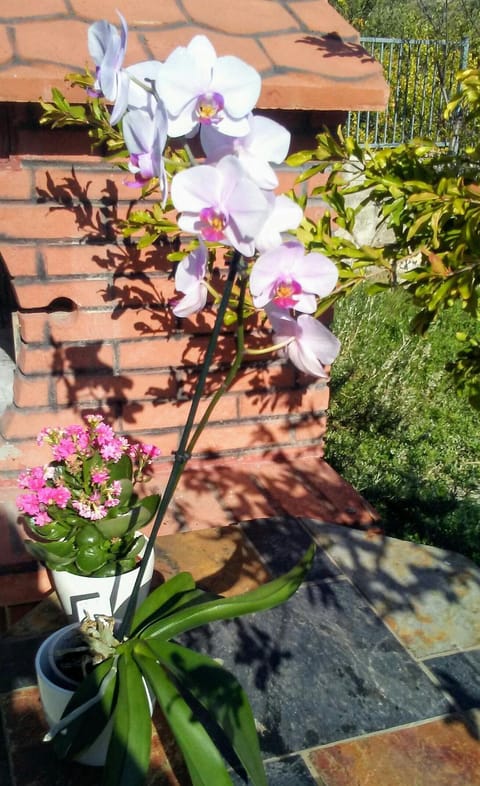 Apartments Mila & Miro Apartment in Šibenik-Knin County, Croatia