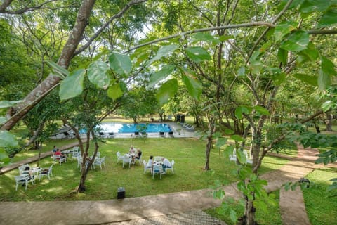 Natural landscape, Garden view, Pool view, Swimming pool