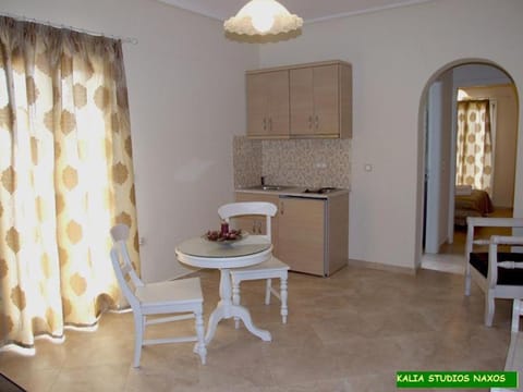 Kalia Studios Apartment in Naxos, Naxos and Lesser Cyclades, Greece