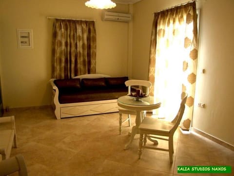 Kalia Studios Apartment in Naxos, Naxos and Lesser Cyclades, Greece