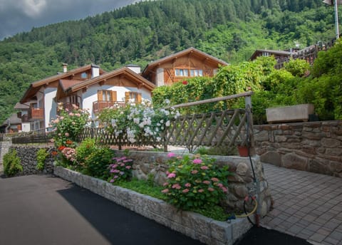 Facade/entrance, Summer