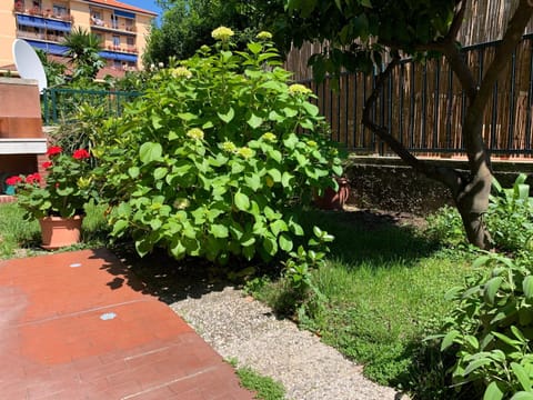 Il giardino dei limoni Apartment in Chiavari