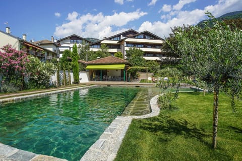 Property building, Garden, Swimming pool, Swimming pool