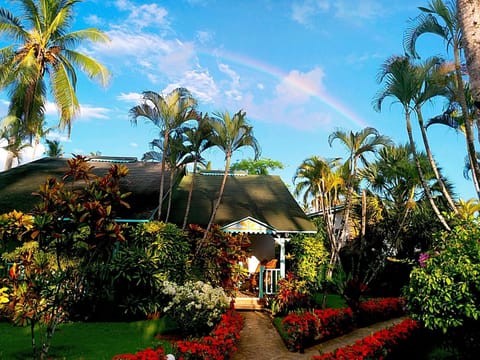 Garden view