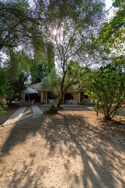 Property building, Garden