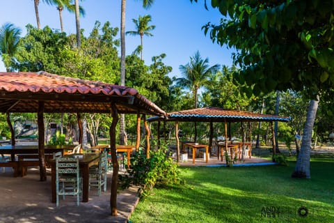 Day, Garden, Garden, Garden view