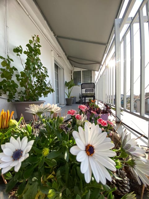 Day, Garden, Balcony/Terrace