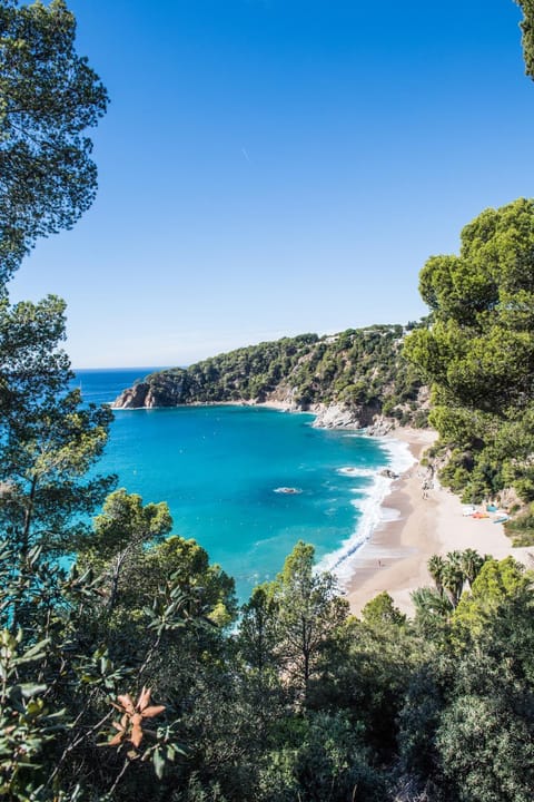 Natural landscape, Beach, Sea view
