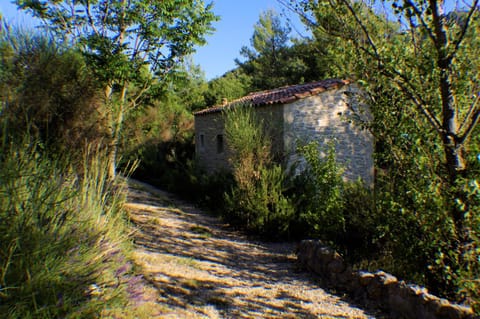 Domaine de bois joli House in Buis-les-Baronnies