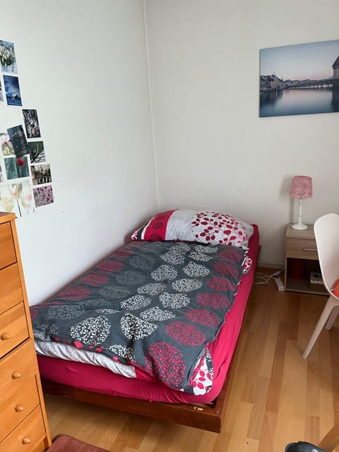 Ruhiges Gästezimmer Vacation rental in Winterthur