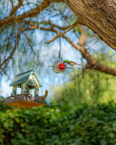 Over Karoo Inn Bed and Breakfast in Western Cape