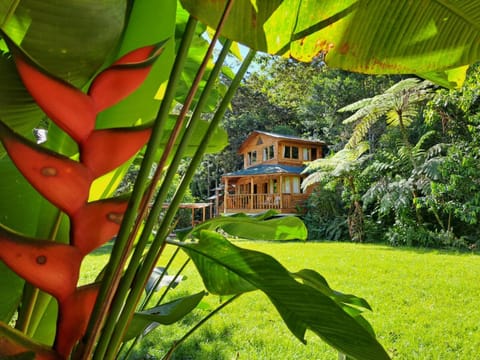 Natural landscape