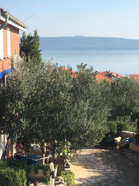 Inner courtyard view