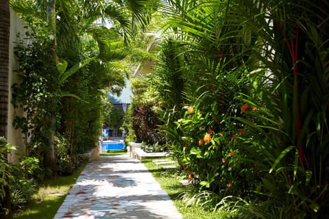 Garden, View (from property/room)