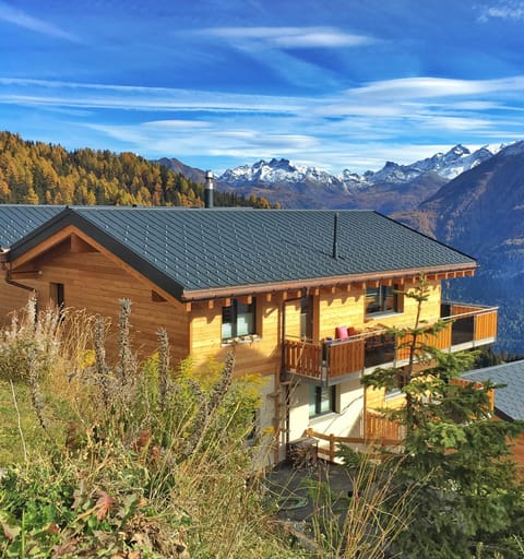 Facade/entrance, Autumn, Mountain view, Mountain view