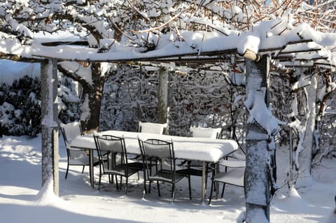 Patio, Winter, Dining area