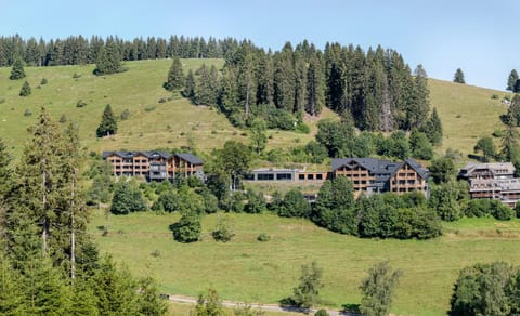 Property building, Spring, On site