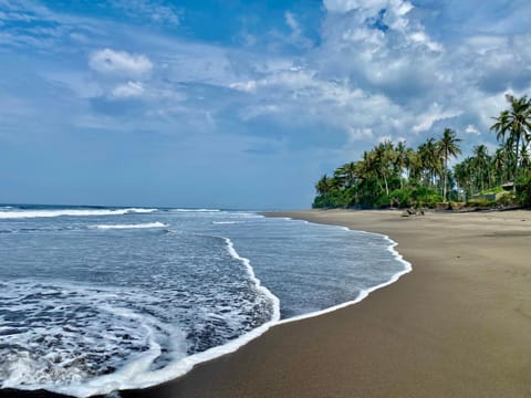 Balian Prana Bed and Breakfast in West Selemadeg