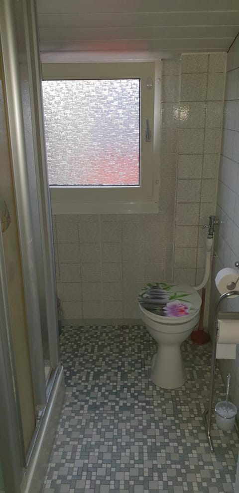 Shower, Toilet, Photo of the whole room