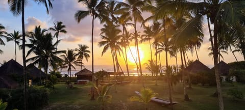 Natural landscape, Garden, Garden view, Sea view, Sunrise, Sunset