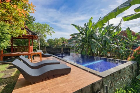 Garden, Garden view, Pool view, Swimming pool, sunbed