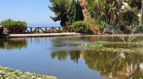 Lake view
