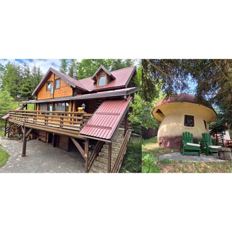 Art Apartments Minic Country House in Montenegro