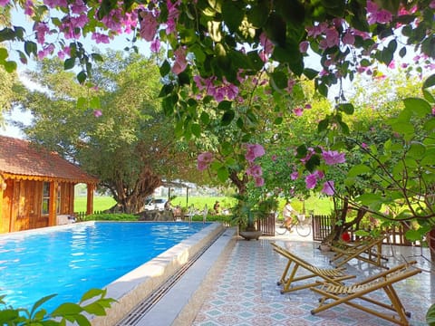 Patio, Day, Pool view