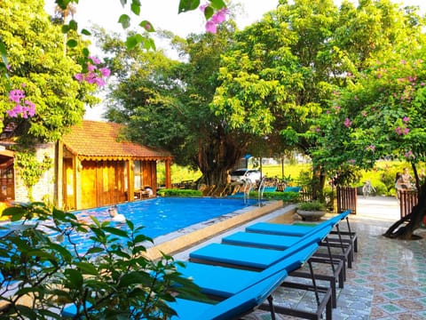Day, Pool view, Swimming pool, sunbed