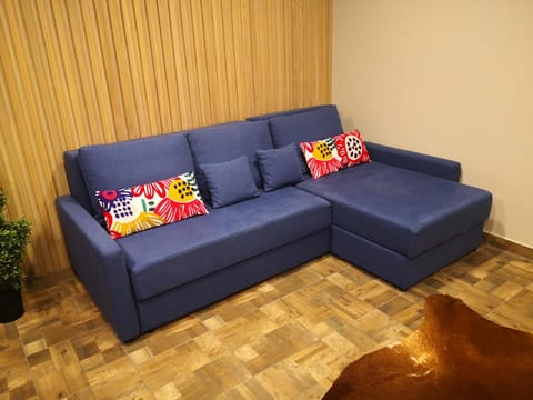 Žvėrinčiaus vila Apartment in Lithuania