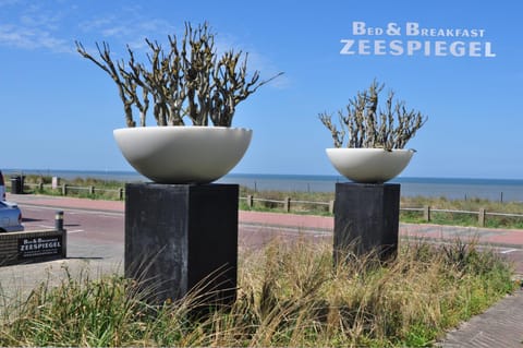 Garden view, Sea view, Street view