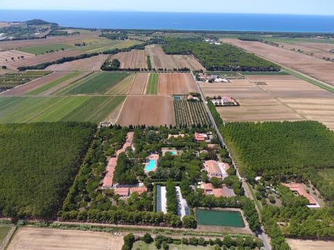 Restaurant/places to eat, Bird's eye view, Summer, Garden, View (from property/room), Garden view, Pool view, Swimming pool