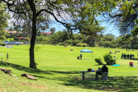 Maui Parkshore 110 Apartment in Kamaole
