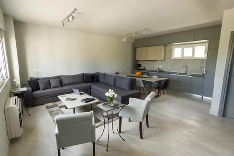 Kitchen or kitchenette, Living room, Seating area, Dining area