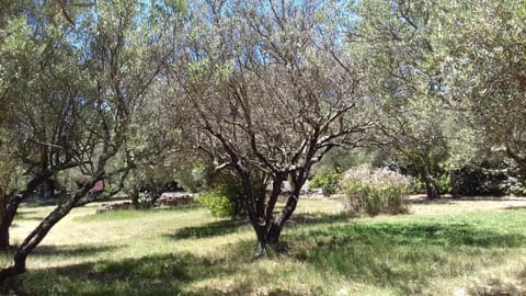 Les Chardons Bleus Bed and Breakfast in Lorgues