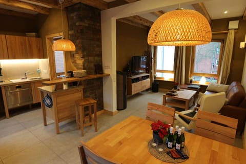 Winter, TV and multimedia, Kitchen or kitchenette, Living room, Seating area, Dining area, On site, City view