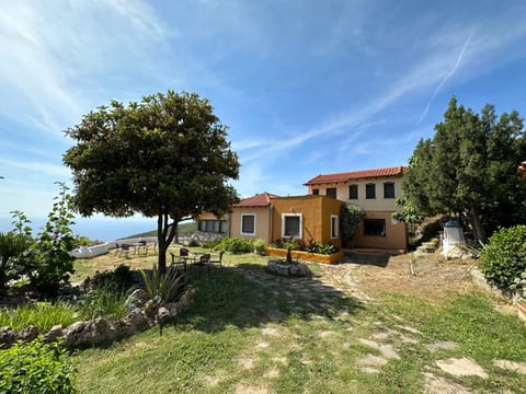 Property building, Garden, Garden view