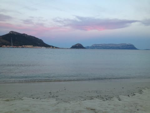 Appartamenti Le Primule Apartment in Golfo Aranci