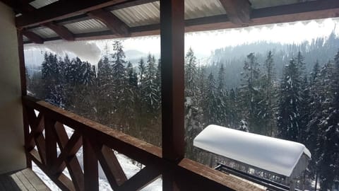Mountain view