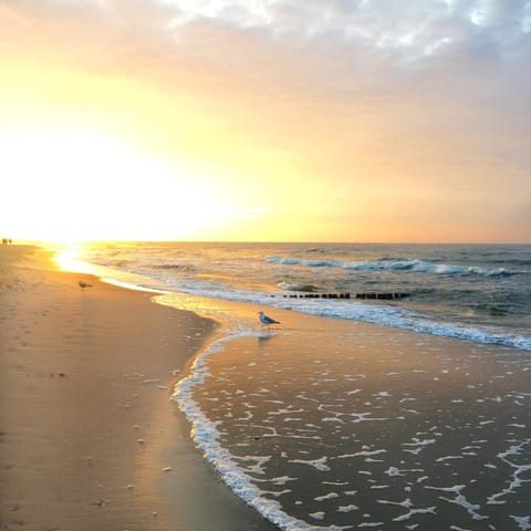 Spring, Natural landscape, Summer, Beach, Autumn, Sunset