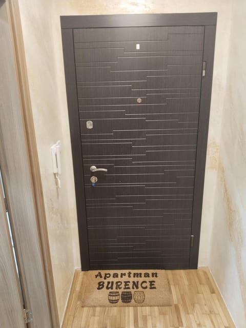 Apartment Burence Apartment in Novi Sad