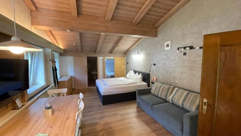 Bed, TV and multimedia, Living room, Photo of the whole room, Seating area, Bedroom