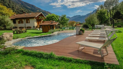 Garden, Swimming pool