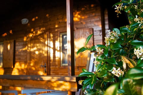 Villaggio La Siesta Resort in Basilicata