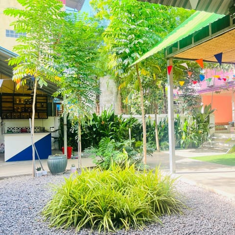 Day, Garden