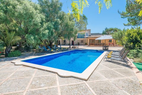 Garden, Swimming pool, sunbed